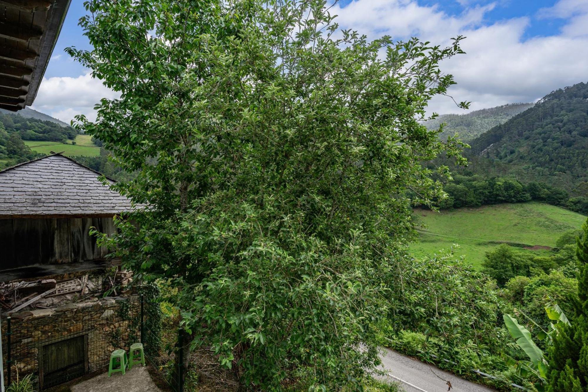 Maseda 1 Villa Villayón Eksteriør bilde