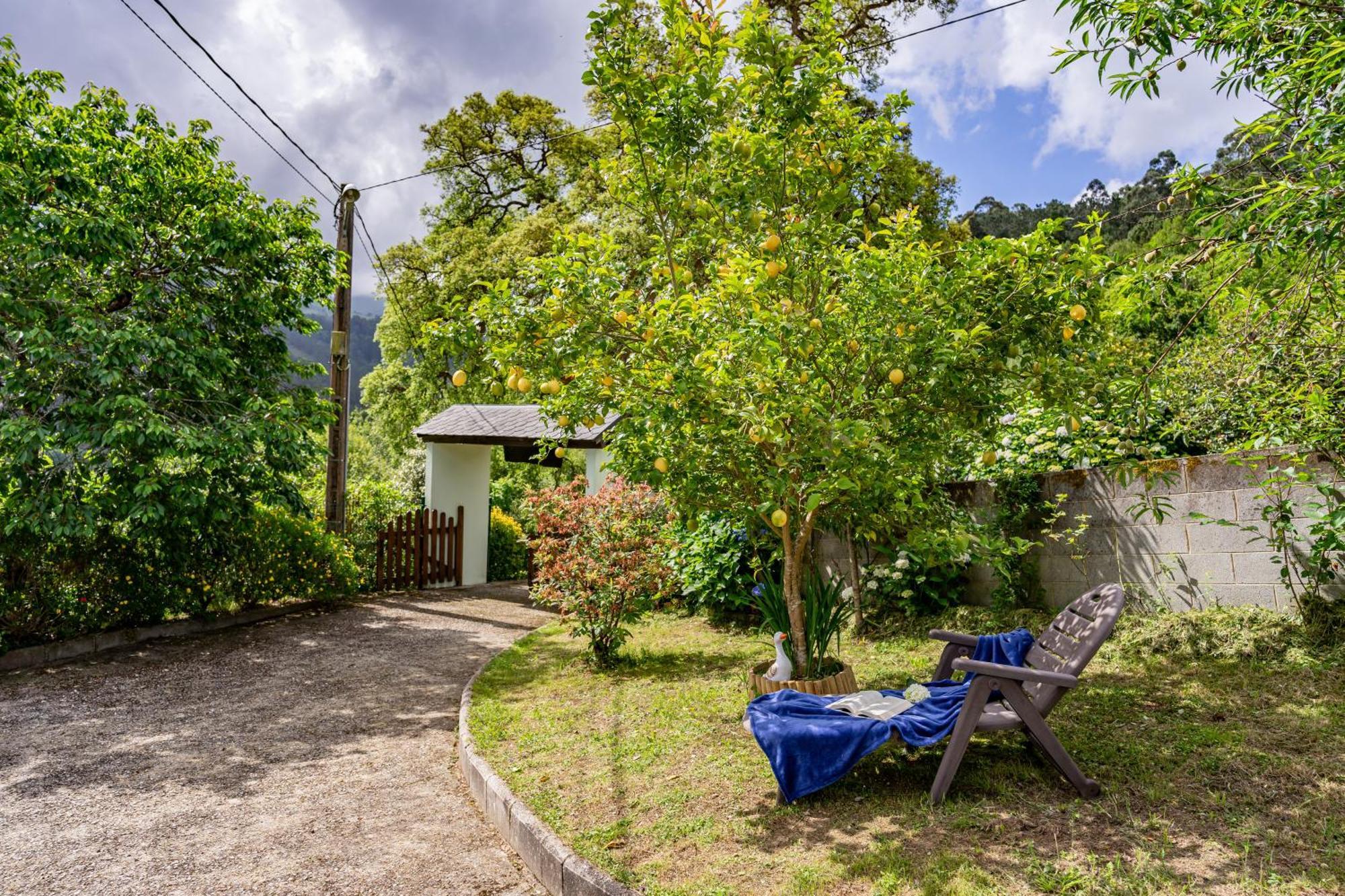 Maseda 1 Villa Villayón Eksteriør bilde